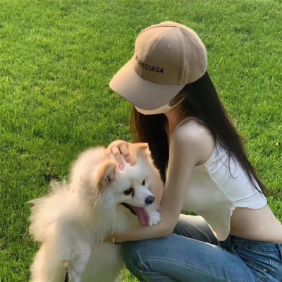 禁宫龙虎斗
